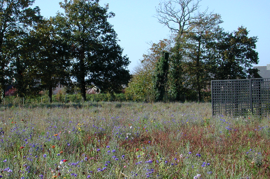 New Cementery Vincé, phase #1